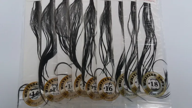 Whiting 100 Saddle Hackle Pack in Black-2